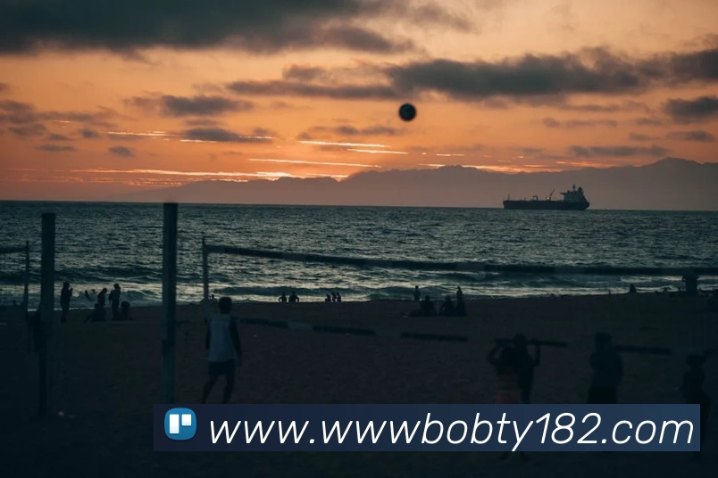 ob欧宝官网服务体系